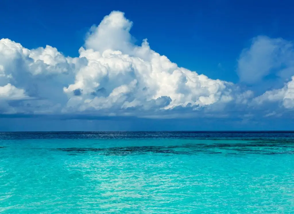 Roatan fishing charter, fishing, boat charter roatan, charter fishing roatan, snorkeling in Roatan