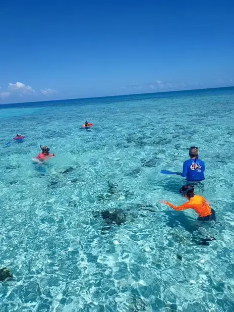 Group of friends snorkeling with nurse sharks in 80-degree Caribbean waters near Roatan — private marine adventure with Dos Reyes Roatan Charter