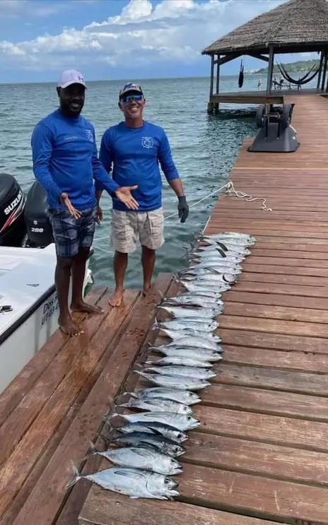 Captain Julio and First Mate Eddie with 25 Black Fin Tuna, deep sea fishing Roatan, private boat charter, Caribbean adventure, Dos Reyes Roatan