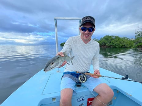 Flat Fishing Bone  Fish