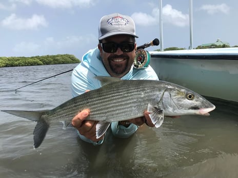 Flat Fishing Bone Fish