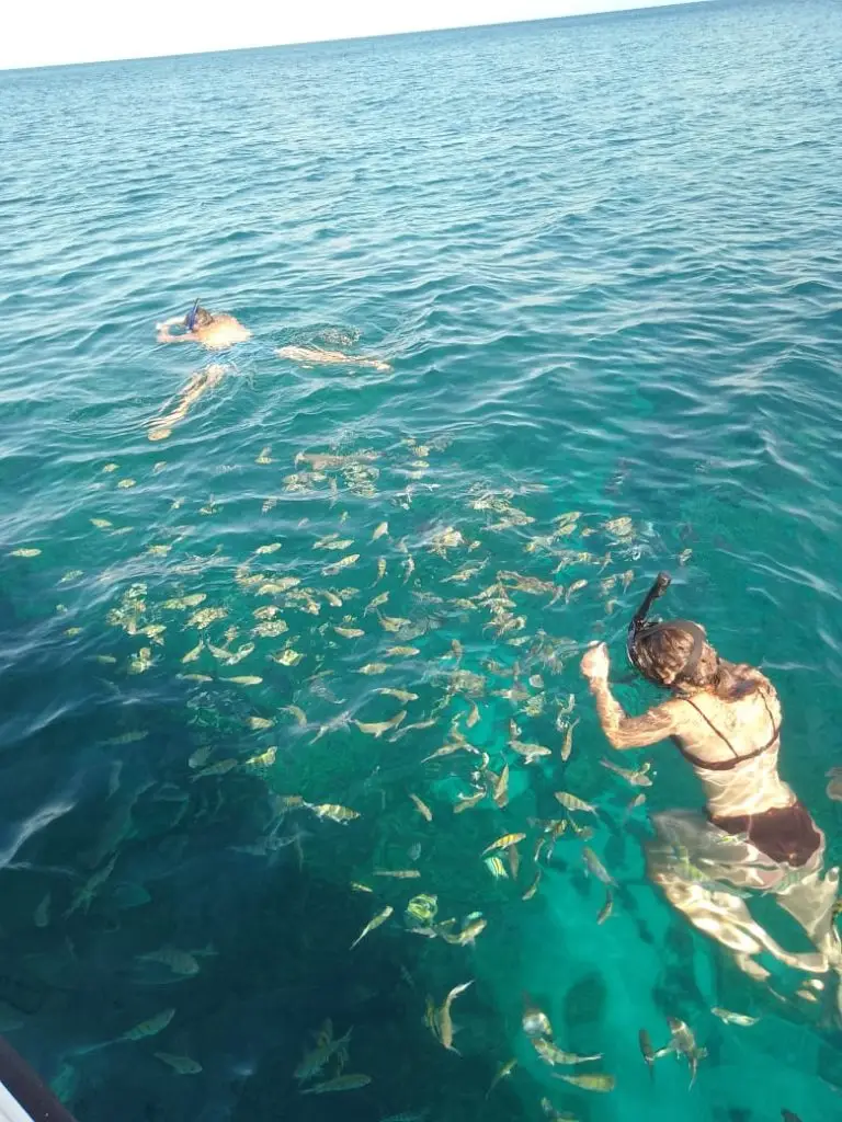 Guests snorkeling with colorful reef fish in crystal-clear Caribbean waters — private and exclusive Dos Reyes Roatan snorkeling charter in Honduras