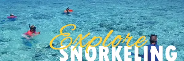 Dos Reyes Roatan — the #1 snorkeling charter in Roatan, Honduras, offering private reef tours, crystal-clear Caribbean waters, and unforgettable underwater adventures