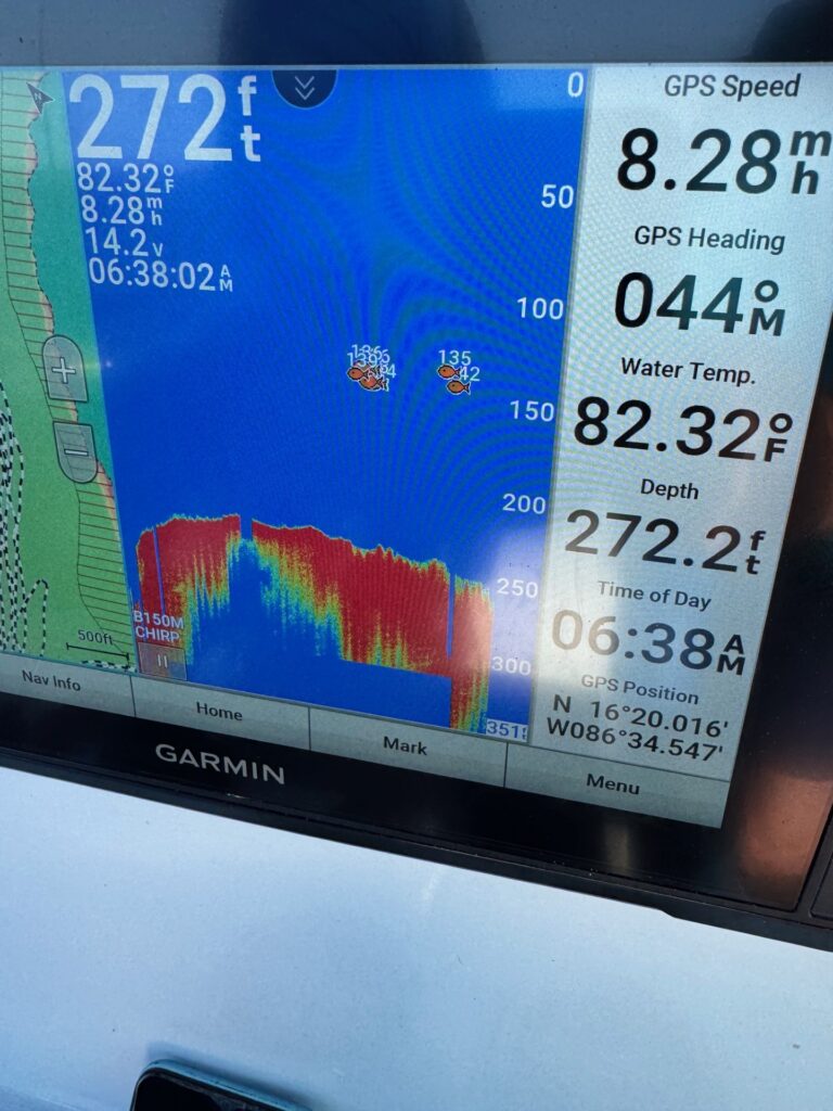 roatan-fish-tracker