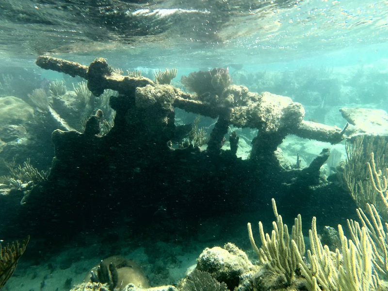 Steel shipwreck transformed into a vibrant coral reef in the Caribbean Sea near Roatan