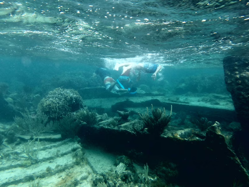 Snorkelers exploring a vibrant coral reef and sunken shipwreck off the coast of Roatan