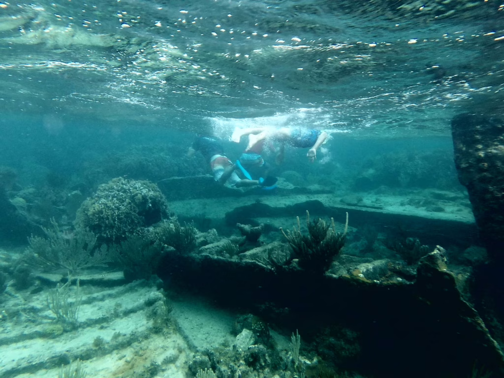 Snorkelers exploring a vibrant coral reef and sunken shipwreck off the coast of Roatan